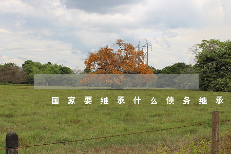 国家要继承什么债务(继承法关于债务的承担)