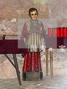 国寿e宝的贷款逾期(国寿e宝账)