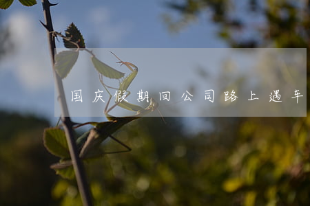 国庆假期回公司路上遇车祸受伤，算工伤吗？