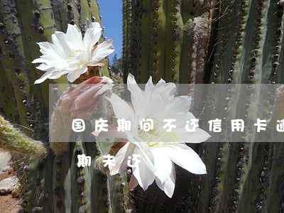 国庆期间不还信用卡逾期了(现在我信用卡逾期未还)