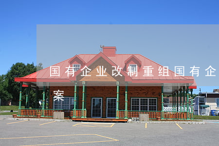 国有企业改制重组(国有企业改制重组实施方案)
