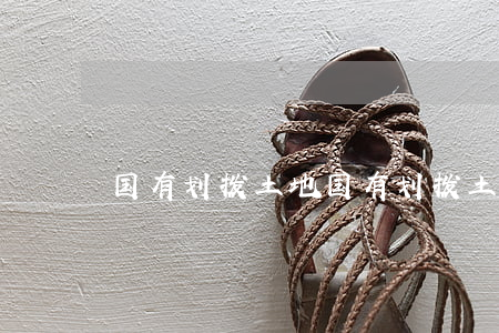 国有划拨土地(国有划拨土地管理办法)