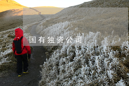 国有独资公司
