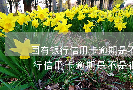 国有银行信用卡逾期是不是很严重-国有银行信用卡逾期是不是很严重呀