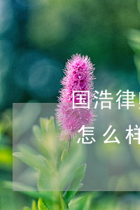 国浩律师事务所排名怎么样(国律律师事务所怎么样)