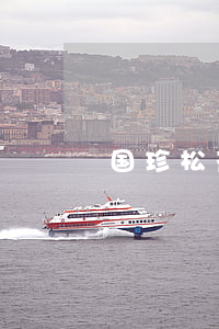 国珍松花粉传销(国珍松花粉公司总部电话)