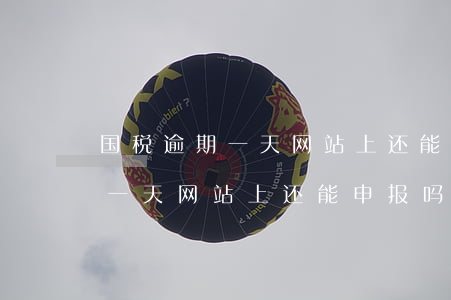 国税逾期一天网站上还能申报吗-国税逾期一天网站上还能申报吗