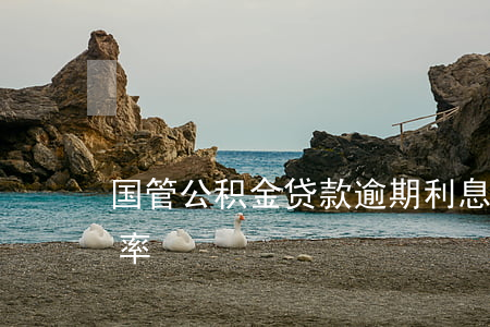 国管公积金贷款逾期利息(国管公积金贷款利率)