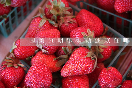 国美分期乐自动还款在哪里设置-