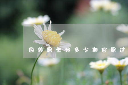 国美易卡分多少期容易过（国美易卡逾期分期）