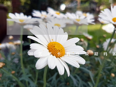 国美易卡有宽限期吗?（国美易卡可以逾期吗）