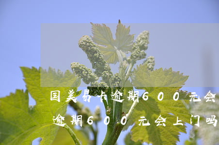 国美易卡逾期600元会上门吗-国美易卡逾期600元会上门吗是真的吗