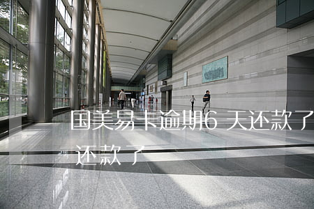 国美易卡逾期6天还款了(国美易卡逾期6天还款了)