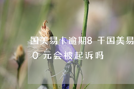国美易卡逾期8千(国美易卡逾期半年5000元会被起诉吗)