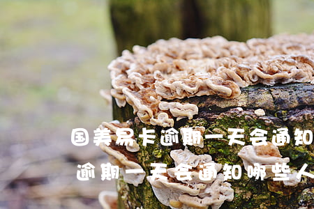 国美易卡逾期一天会通知哪些人-国美易卡逾期一天会通知哪些人催款