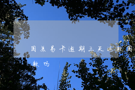 国美易卡逾期三天还款(国美易卡可以延期还款吗)