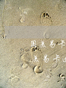 国美易卡逾期半年5000元会被起诉吗（国美易卡逾期多久会被起诉）