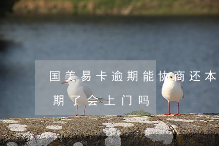 国美易卡逾期能协商还本金吗-国美易卡逾期了会上门吗