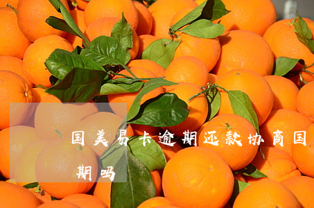 国美易卡逾期还款协商(国美易卡有还款宽限期吗)