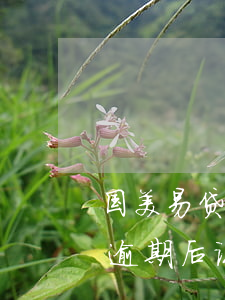 国美易贷逾期后说申请资产保全-国美易贷逾期后说申请资产保全是真的吗