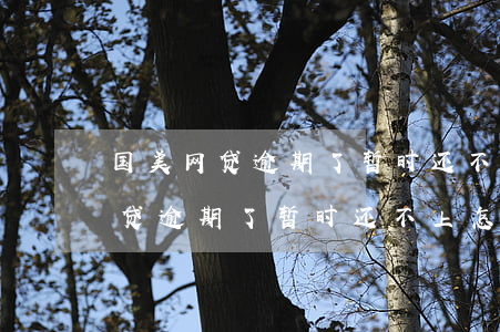 国美网贷逾期了暂时还不上怎么办-国美网贷逾期了暂时还不上怎么办呢