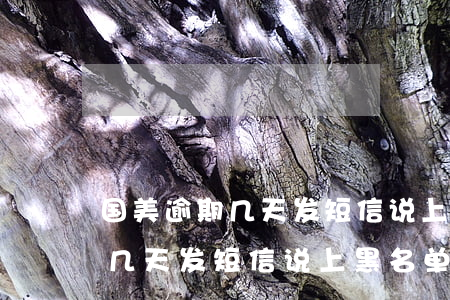 国美逾期几天发短信说上黑名单-国美逾期几天发短信说上黑名单是真的吗