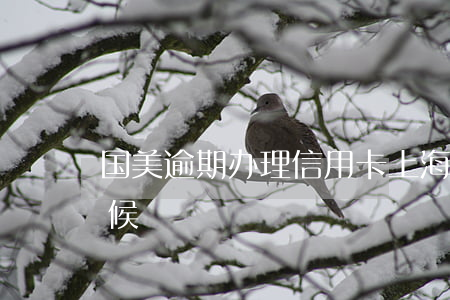 国美逾期办理信用卡(上海这雨要下到什么时候)