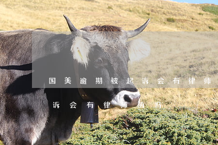 国美逾期被起诉会有律师函吗（国美逾期被起诉会有律师函吗）
