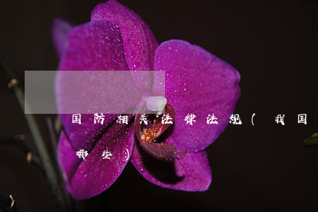 国防相关法律法规(我国颁布的国防法规有哪些)