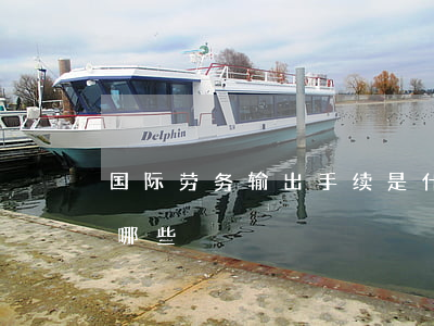 国际劳务输出手续是什么,劳动输出的方式有哪些