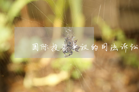 国际投资争议的司法诉讼