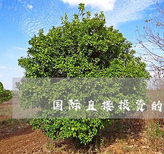 国际直接投资的主要方式