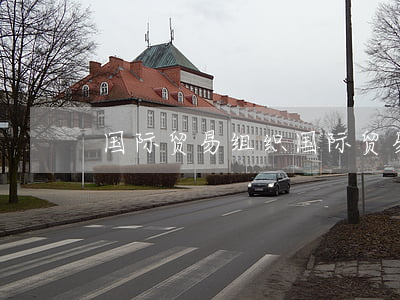国际贸易组织(国际贸易组织法)