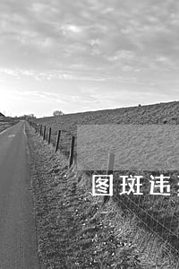 图斑违建怎么处理(图斑违建是什么意思)