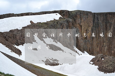 圆梦金信用卡利息高吗(圆梦金是哪个银行的信用卡)