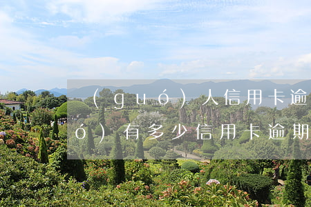 國(guó)人信用卡逾期總額(全國(guó)有多少信用卡逾期)