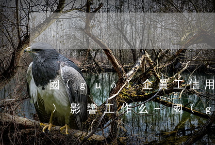 國(guó)企員工信用卡逾期會(huì)影響工作么-國(guó)企員工信用卡逾期會(huì)影響工作么嗎