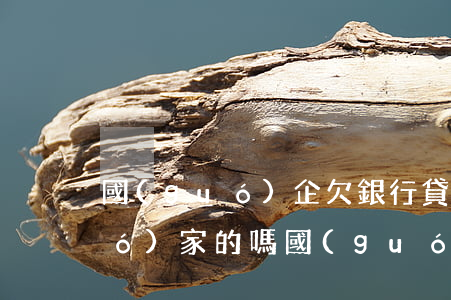國(guó)企欠銀行貸款不都是國(guó)家的嗎（國(guó)企貸款還不起安徽）