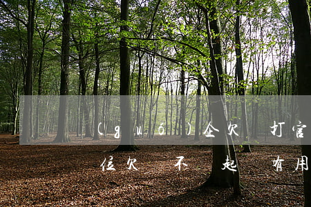 國(guó)企欠錢打官司(國(guó)企單位欠賬不給起訴有用嗎)