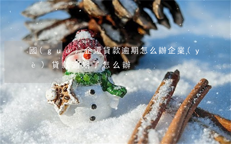 國(guó)企還貸款逾期怎么辦(企業(yè)貸款逾期了怎么辦)