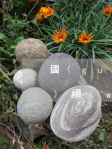 國(guó)內(nèi)互聯(lián)網(wǎng)管理的法律法規(guī)(中國(guó)對(duì)于網(wǎng)絡(luò)的法律法規(guī)有哪些)