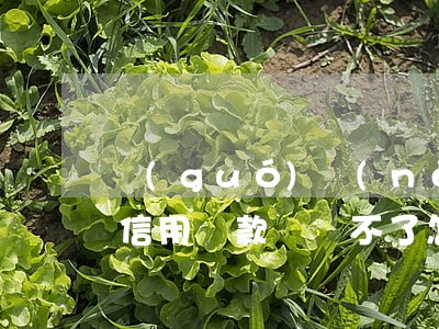 國(guó)內(nèi)信用貸款還不起(信用貸款償還不了怎么辦)