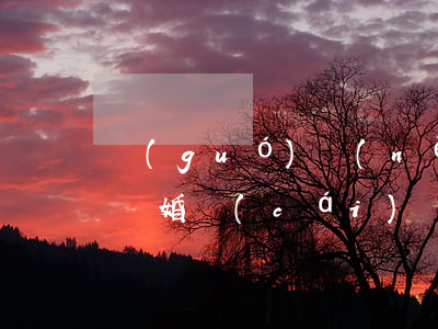 國(guó)內(nèi)債務(wù)和離婚財(cái)產(chǎn)分割(離婚財(cái)產(chǎn)分割比例和債務(wù))