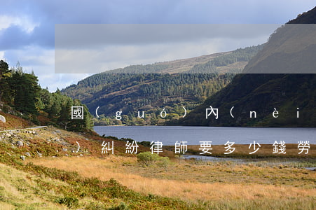 國(guó)內(nèi)勞動(dòng)糾紛律師要多少錢(勞動(dòng)糾紛的律師費(fèi)用一般是多少錢)