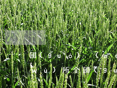 國(guó)內(nèi)十大律師事務(wù)所(全國(guó)十大律師事務(wù)所排名)