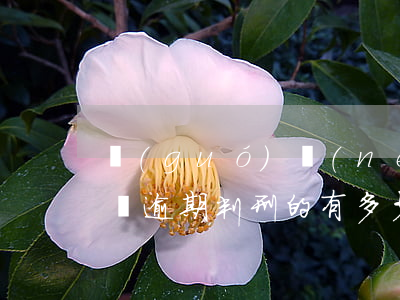國(guó)內(nèi)網(wǎng)貸逾期判刑的有多少 網(wǎng)貸逾期會(huì)被判刑嗎