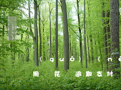 國(guó)內(nèi)花唄逾期了還能用嗎(花唄逾期支付寶還能使用嗎?)