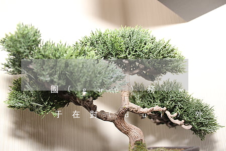 國(guó)務(wù)院關(guān)于在對(duì)外公務(wù)活動(dòng)中贈(zèng)送和接受禮品的規(guī)定