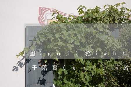 國(guó)務(wù)院關(guān)于落實(shí)《政府工作報(bào)告》重點(diǎn)工作部門(mén)分工的意見(jiàn)