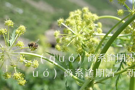 國(guó)商系逾期清兌2022(國(guó)商系逾期清兌新余2022)